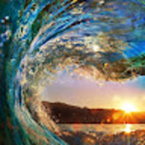 Meet your Posher, Ella